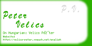 peter velics business card